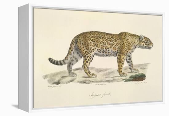 A Jaguar-Werner-Framed Premier Image Canvas