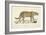 A Jaguar-Werner-Framed Giclee Print