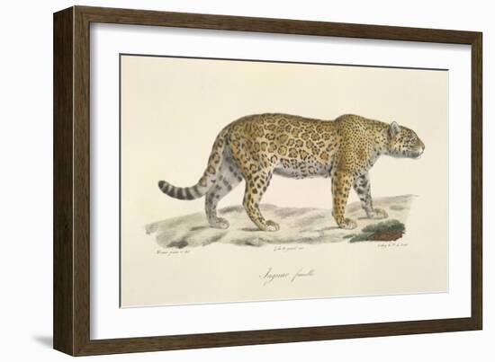 A Jaguar-Werner-Framed Giclee Print