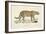 A Jaguar-Werner-Framed Giclee Print