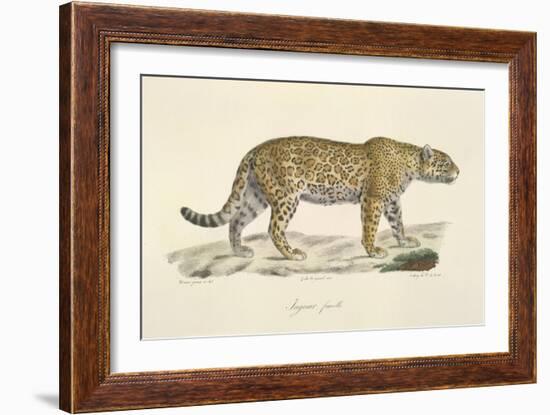 A Jaguar-Werner-Framed Giclee Print