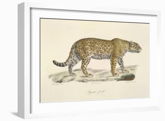 A Jaguar-Werner-Framed Giclee Print