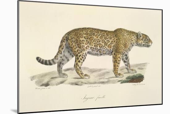A Jaguar-Werner-Mounted Giclee Print