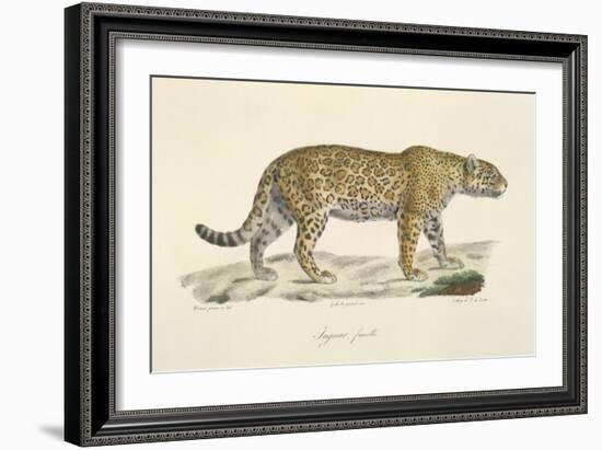 A Jaguar-Werner-Framed Giclee Print