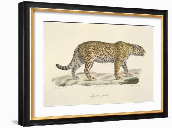 A Jaguar-Werner-Framed Giclee Print