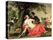 Stretched Canvas Print
