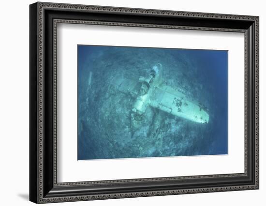 A Japanese Jake Seaplane on the Seafloor of Palau's Lagoon-Stocktrek Images-Framed Photographic Print