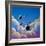 A Jet Quartet-Cindy Thornton-Framed Premium Giclee Print