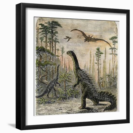 Photographic Print, , large