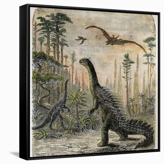 Stretched Canvas Print, , large