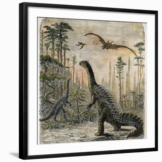 Photographic Print, , large