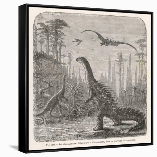 Stretched Canvas Print, , large