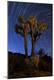 Premium Photographic Print