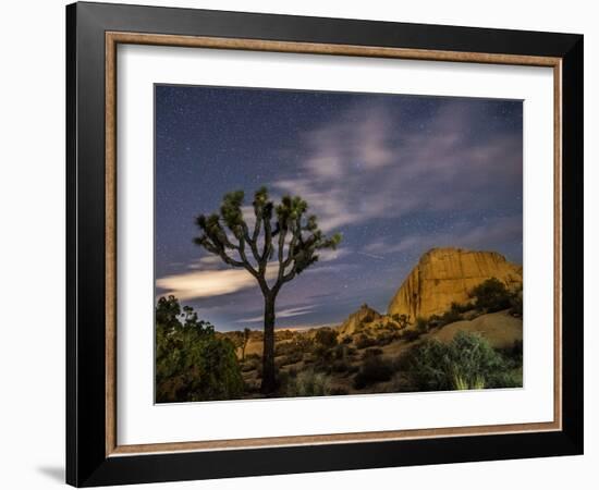 A Joshua Tree Night Sky Is Hard To Beat-Daniel Kuras-Framed Photographic Print