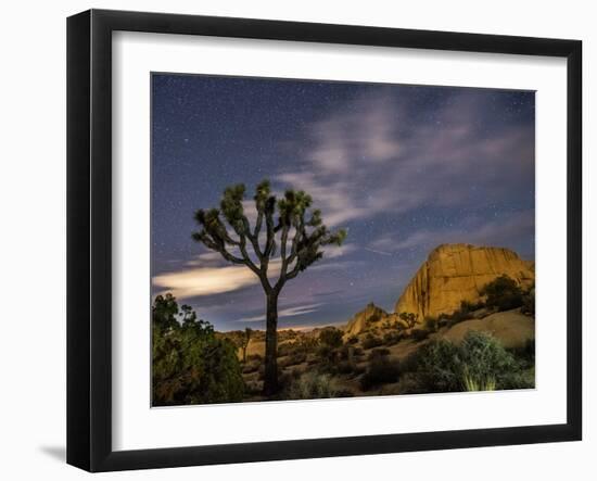 A Joshua Tree Night Sky Is Hard To Beat-Daniel Kuras-Framed Photographic Print
