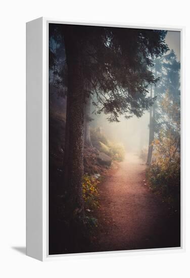 A Journey in the Mist-Philippe Sainte-Laudy-Framed Premier Image Canvas