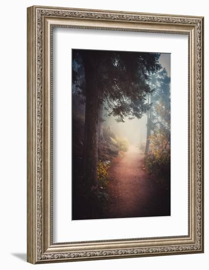 A Journey in the Mist-Philippe Sainte-Laudy-Framed Photographic Print