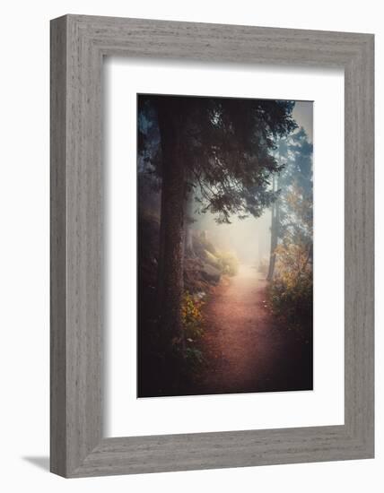 A Journey in the Mist-Philippe Sainte-Laudy-Framed Photographic Print