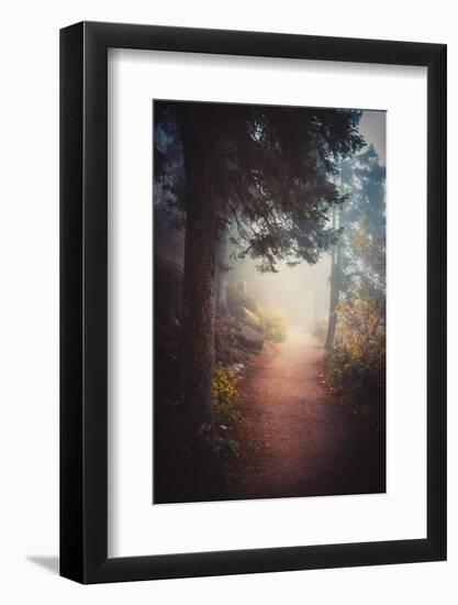 A Journey in the Mist-Philippe Sainte-Laudy-Framed Photographic Print