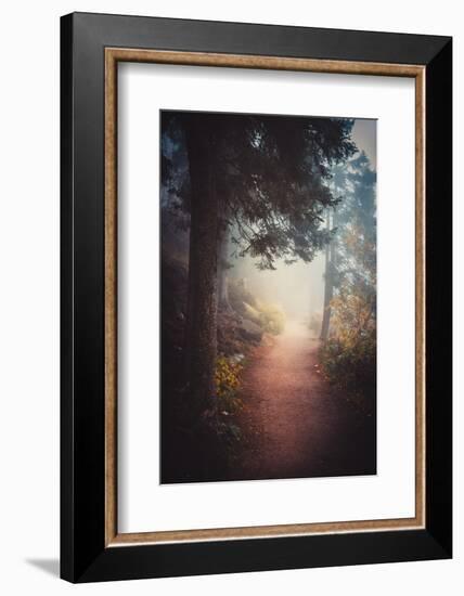 A Journey in the Mist-Philippe Sainte-Laudy-Framed Photographic Print