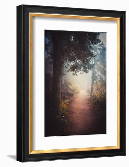 A Journey in the Mist-Philippe Sainte-Laudy-Framed Photographic Print
