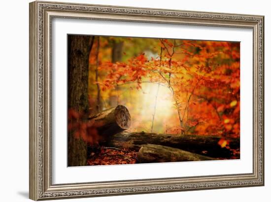 A Journey Too Far-Philippe Sainte-Laudy-Framed Photographic Print