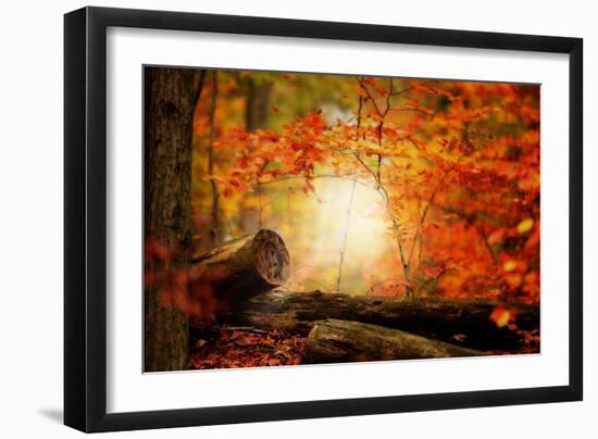 A Journey Too Far-Philippe Sainte-Laudy-Framed Photographic Print