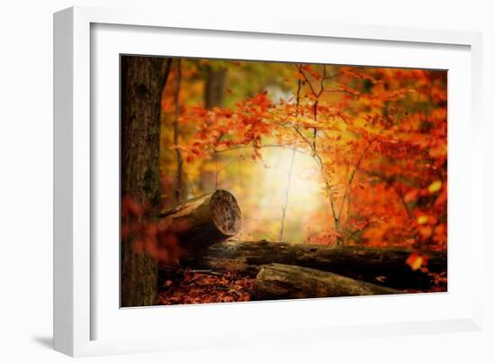 A Journey Too Far-Philippe Sainte-Laudy-Framed Photographic Print