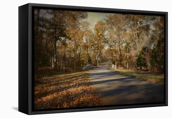 A Joyful Place-Jai Johnson-Framed Premier Image Canvas