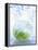 A Jug of Water with Limes-Axel Weiss-Framed Premier Image Canvas