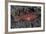 A Juvenile Ambon Scorpionfish on the Sandy Seafloor of Indonesia-Stocktrek Images-Framed Photographic Print