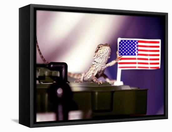 A Juvenile Bearded Dragon Places a Claw Upon an United States Flag-null-Framed Premier Image Canvas