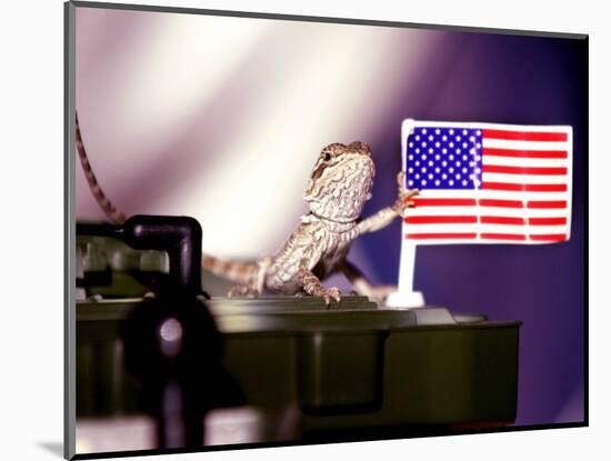 A Juvenile Bearded Dragon Places a Claw Upon an United States Flag-null-Mounted Photographic Print