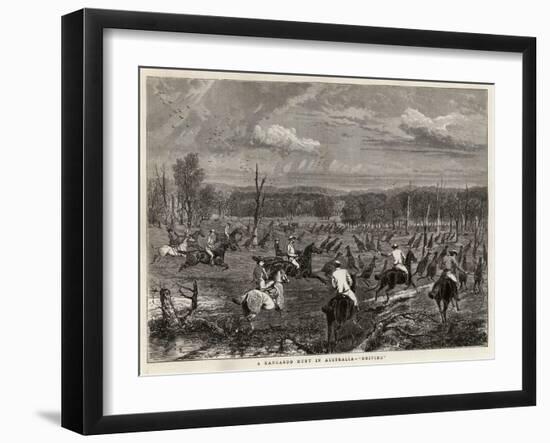 A Kangaroo Hunt in Australia, Driving-null-Framed Giclee Print