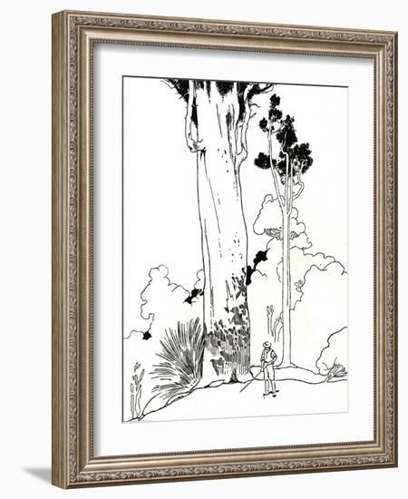 'A Kauri Tree', 1912-Charles Robinson-Framed Giclee Print