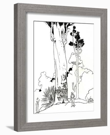 'A Kauri Tree', 1912-Charles Robinson-Framed Giclee Print