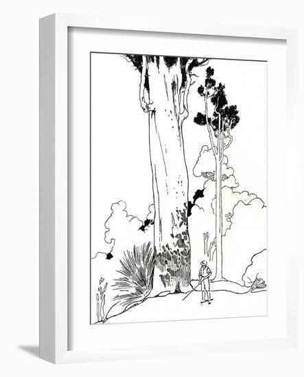 'A Kauri Tree', 1912-Charles Robinson-Framed Giclee Print