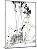 'A Kauri Tree', 1912-Charles Robinson-Mounted Giclee Print