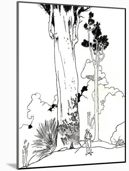 'A Kauri Tree', 1912-Charles Robinson-Mounted Giclee Print