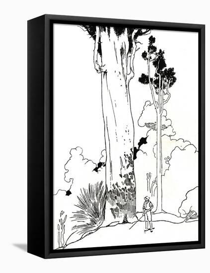 'A Kauri Tree', 1912-Charles Robinson-Framed Premier Image Canvas