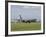 A KC-135 Stratotanker Lands On the Runway at Kadena Air Base, Japan-Stocktrek Images-Framed Photographic Print