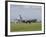 A KC-135 Stratotanker Lands On the Runway at Kadena Air Base, Japan-Stocktrek Images-Framed Photographic Print