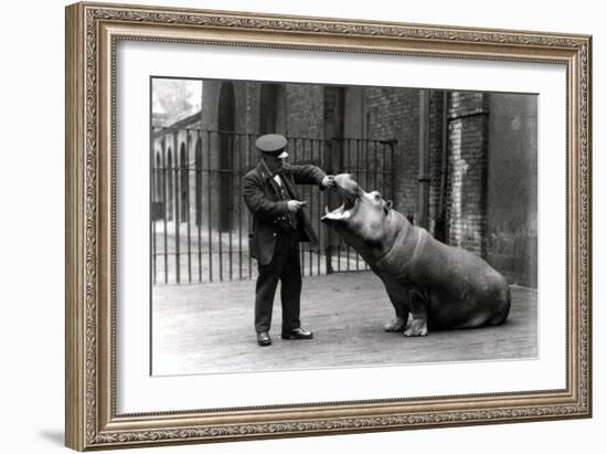 A Keeper, Ernie Bowman, and Bobbie the Hippopotamus at London Zoo, 1923-Frederick William Bond-Framed Photographic Print