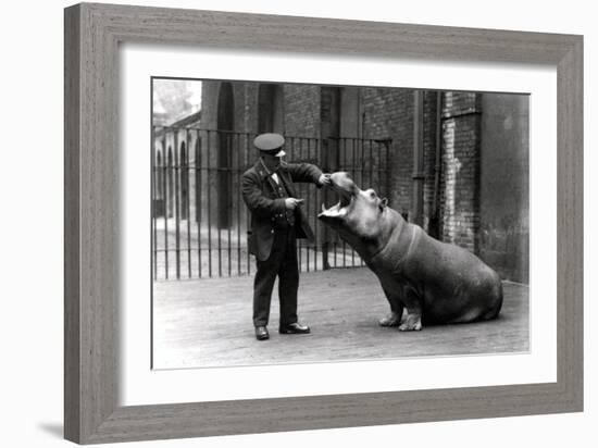 A Keeper, Ernie Bowman, and Bobbie the Hippopotamus at London Zoo, 1923-Frederick William Bond-Framed Photographic Print