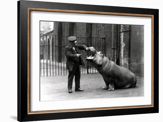A Keeper, Ernie Bowman, and Bobbie the Hippopotamus at London Zoo, 1923-Frederick William Bond-Framed Photographic Print