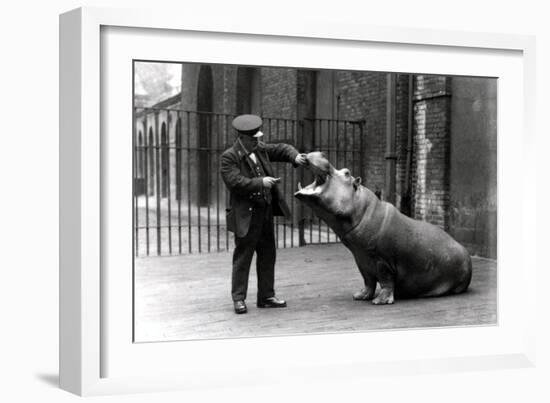 A Keeper, Ernie Bowman, and Bobbie the Hippopotamus at London Zoo, 1923-Frederick William Bond-Framed Photographic Print