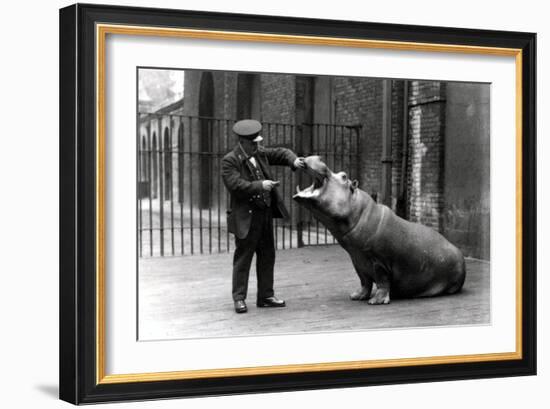 A Keeper, Ernie Bowman, and Bobbie the Hippopotamus at London Zoo, 1923-Frederick William Bond-Framed Photographic Print