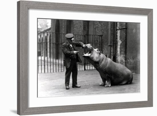 A Keeper, Ernie Bowman, and Bobbie the Hippopotamus at London Zoo, 1923-Frederick William Bond-Framed Photographic Print