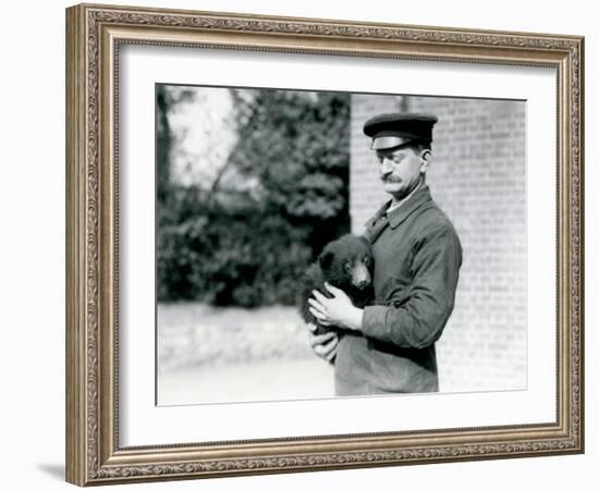 A Keeper Holds a Sloth Bear Cub at London Zoo, August 1921-Frederick William Bond-Framed Photographic Print