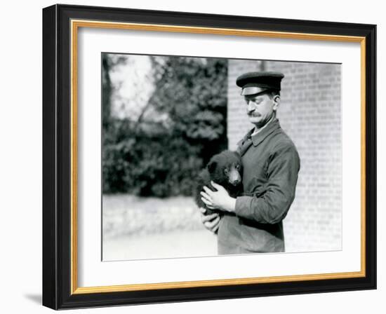 A Keeper Holds a Sloth Bear Cub at London Zoo, August 1921-Frederick William Bond-Framed Photographic Print